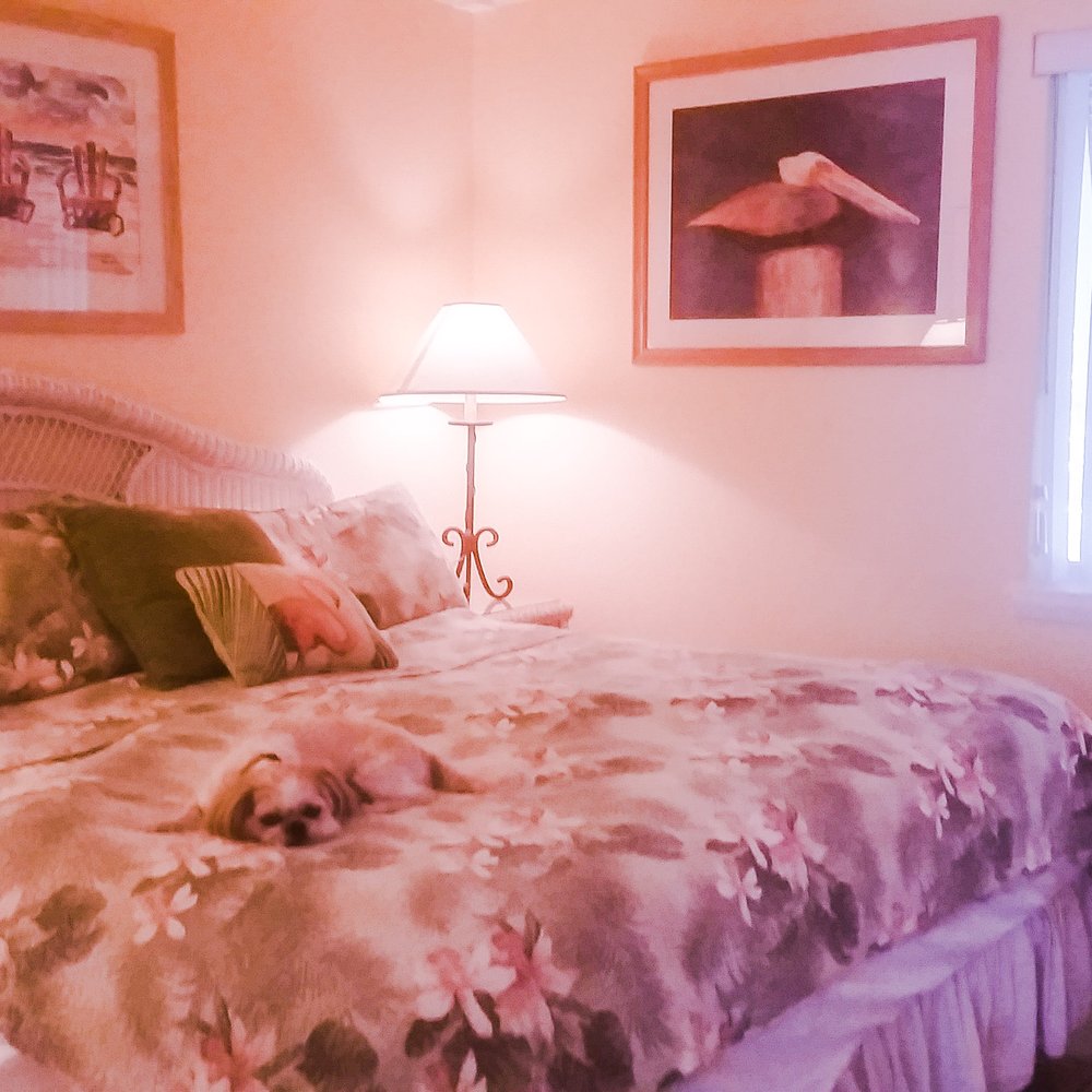 Tradewinds Resort - King sized bedroom for the spoiled Mocha Coconut - Resorts Near Me - Bradenton Beach, Florida Tradewinds Resort - King sized bedroom for the spoiled Mocha Coconut - Resorts Near Me - Bradenton Beach, Florida