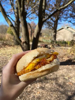 Cracked the Egg Came First by null