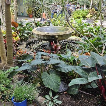 Roger Williams Park Botanical Center - Conservatory - Botanical Gardens Near Me - Providence, Rhode Island