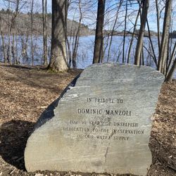 JC Phillips Nature Preserve - Stone