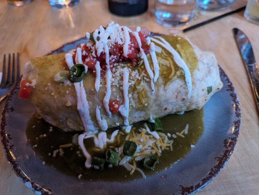 The Silver Iguana by null