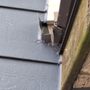 Photo of Storm Warrior Roofing and Restoration