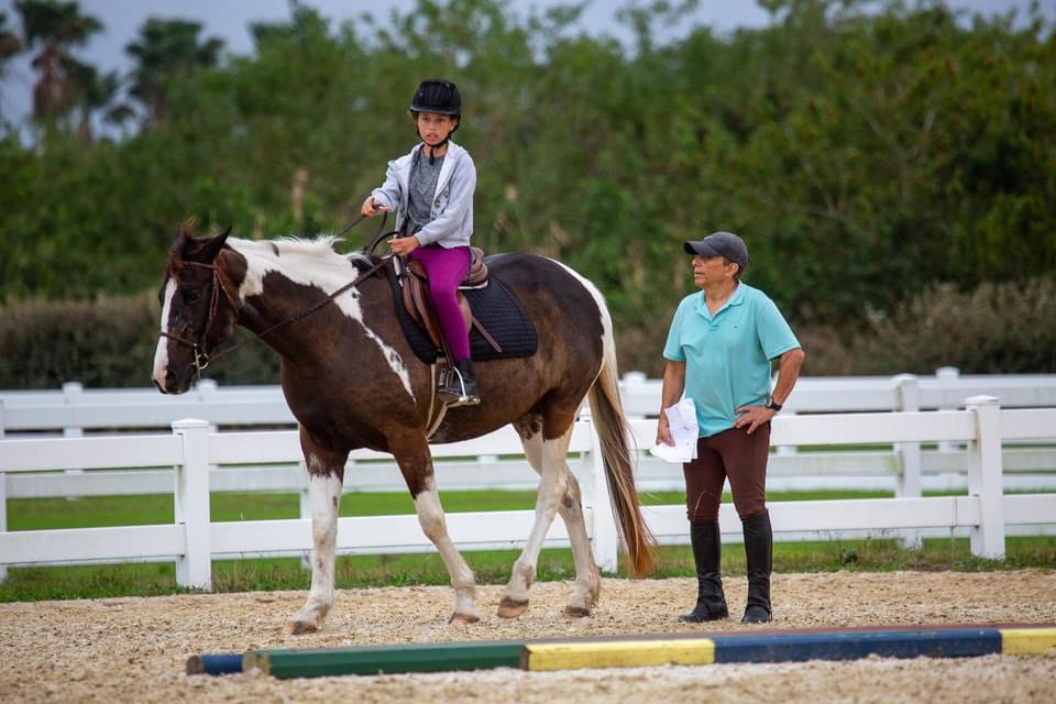 Vero Beach Equestrian Club - equestrian in Vero Beach, FL