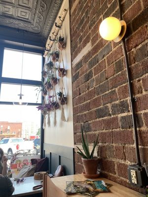 Crown Brew Coffee Co. by null