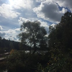 Shaver's Creek Environmental Center - Tree
