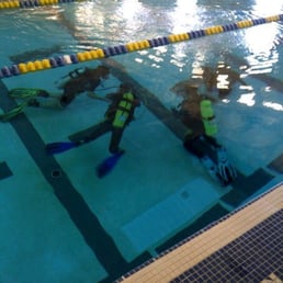 Open Water Diver Course