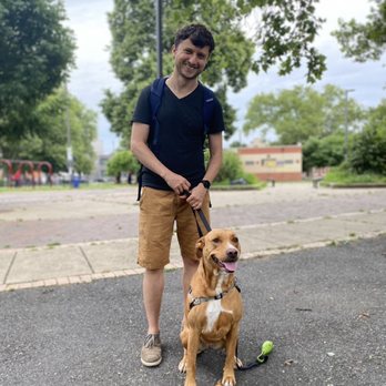 Dognify - Pet Training Near Me Dognify - Pet Training Near Me