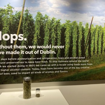 Guinness Open Gate Brewery - Breweries Near Me - Halethorpe, Maryland