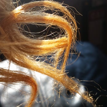 Salon Louise - Tips are really dry so much split ends. When I was my hair my hair is falling out - Makeup Artists Near Me - Albuquerque, New Mexico Salon Louise - Tips are really dry so much split ends. When I was my hair my hair is falling out - Makeup Artists Near Me - Albuquerque, New Mexico
