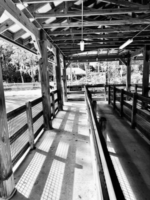 Ellie Schiller Homosassa Springs Wildlife State Park by null