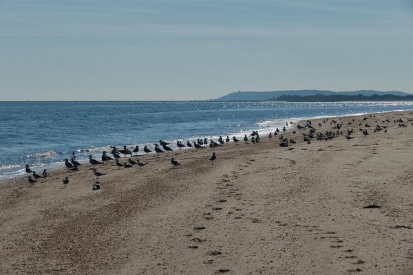 Keansburg Beach by null
