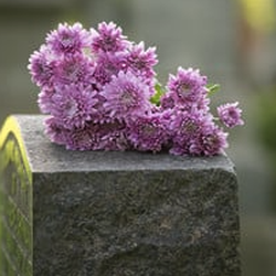 Travis Funeral Home