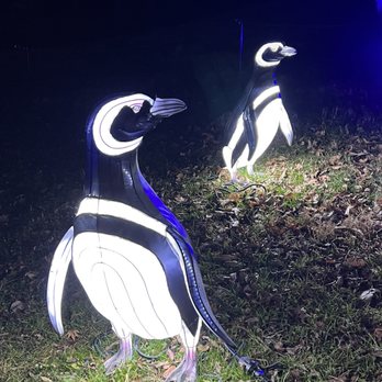 ZooLights - Zoos Near Me - Washington, DC, District of Columbia