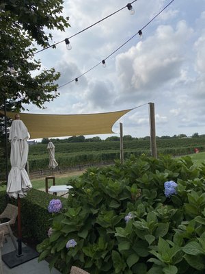 The Wine Stand at Wölffer Estate by null