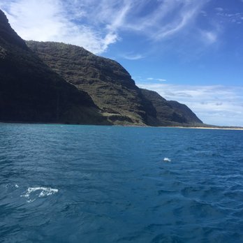 Capt Andy's - Boat Tours Near Me - Ele'ele, Hawaii Capt Andy's - Boat Tours Near Me - Ele'ele, Hawaii