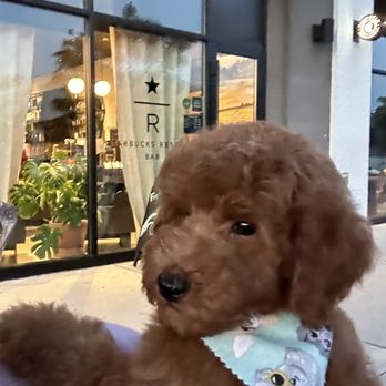 Starbucks Reserve - Coffee & Tea Near Me - Closter, New Jersey