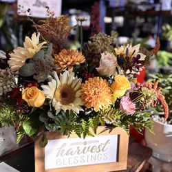 All Season Country Farm