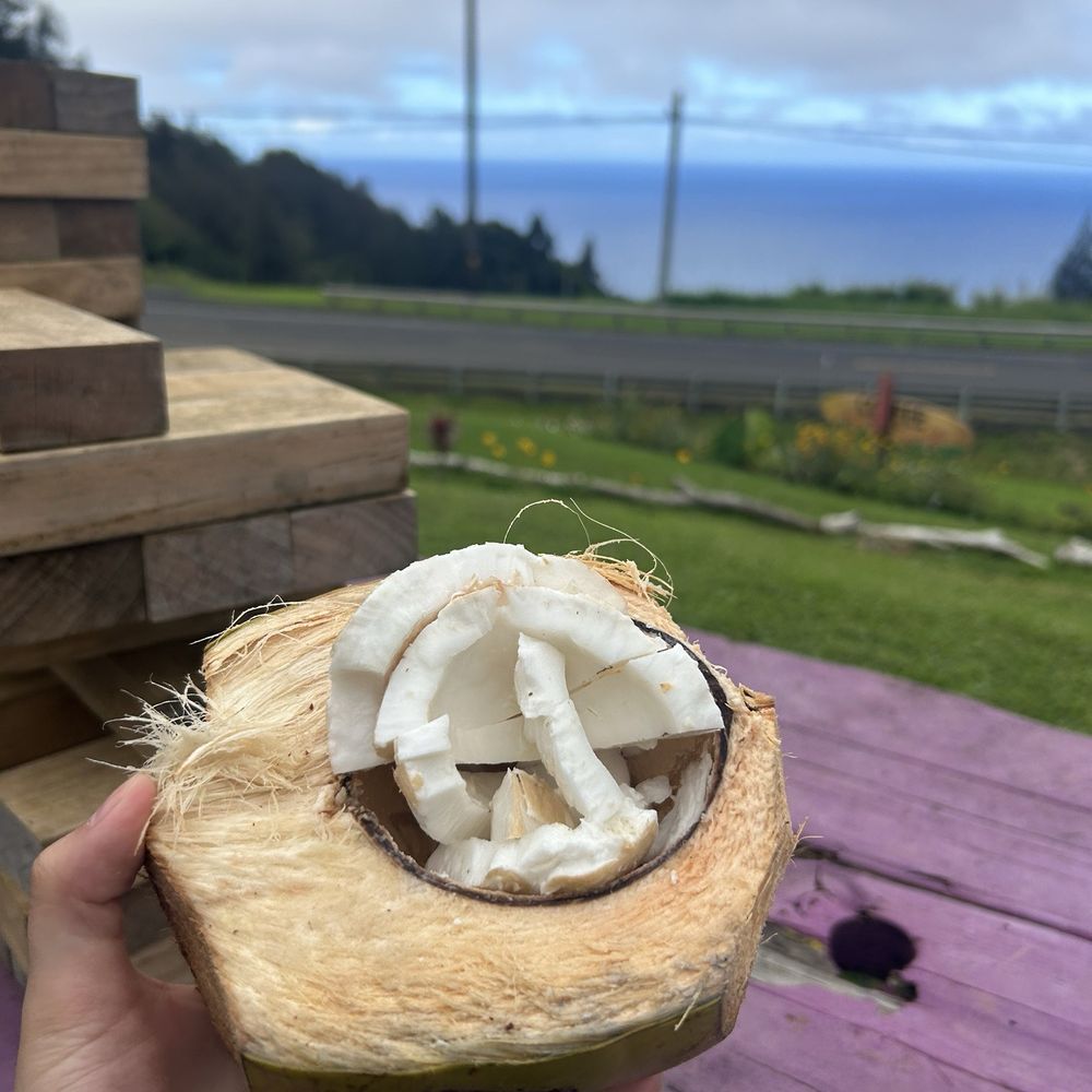 coconut while playing jenga and a view coconut while playing jenga and a view