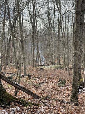 Cranberry Lake Preserve by null