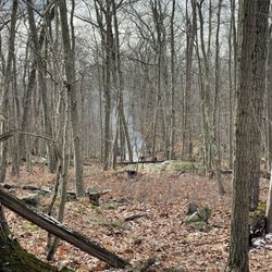 Cranberry Lake Preserve