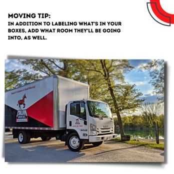 Stallion Movers - Movers Near Me