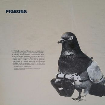 Smithsonian - A pigeon fitted with a miniature camera. - Museums Near Me - Washington, DC, District of Columbia Smithsonian - A pigeon fitted with a miniature camera. - Museums Near Me - Washington, DC, District of Columbia