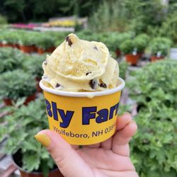 Bly Farm and Ice Cream - Lemon Chocolate Chip