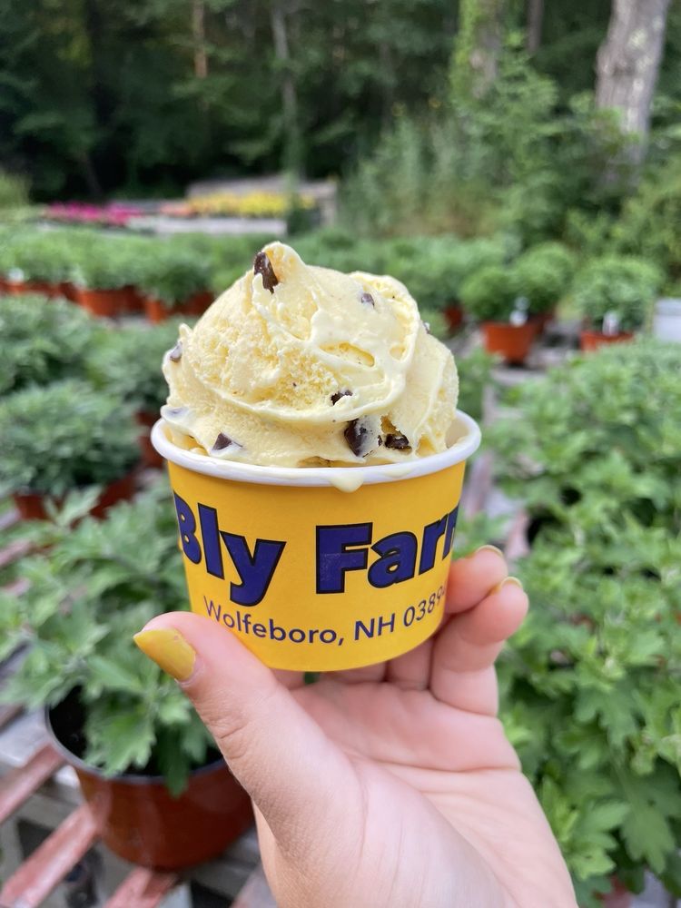 Bly Farm and Ice Cream Logo