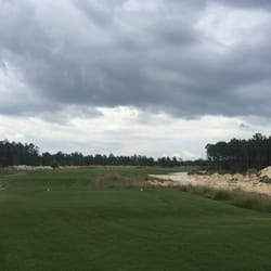 Windswept Dunes