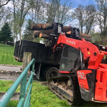 Long Reach Tree Services - Tree Services Near Me