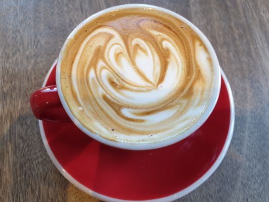 Bourke Street Bakery Newtown by null