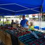 Photo of Grosse Pointe Village Fest