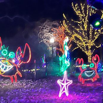 Zoolights - Local Flavor Near Me - Chicago, Illinois