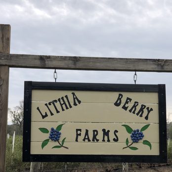 Lithia Berry Farms - Pick Your Own Farms Near Me - Lithia, Florida Lithia Berry Farms - Pick Your Own Farms Near Me - Lithia, Florida