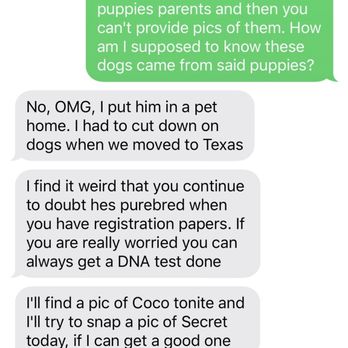 Sacred Heart Kennels - Try to snap a pic of a dog you own? So hard? Who is she trying to fool? There are no parents. She's a fraud. - Pet Services Near Me