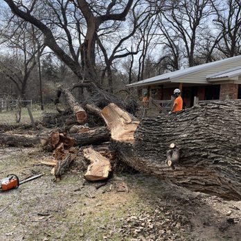 Wheeler’s Tree Surgeons - Tree Services Near Me - Springtown, Texas Wheeler’s Tree Surgeons - Tree Services Near Me - Springtown, Texas
