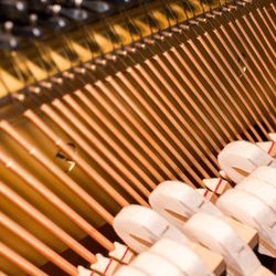 Edina Piano Tuning & Repair