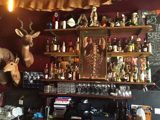 The Viktor Wynd Museum of Curiosities, Fine Art & UnNatural History by null