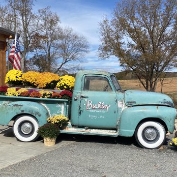 Buckley Vineyards - Wineries Near Me - Ellijay, Georgia