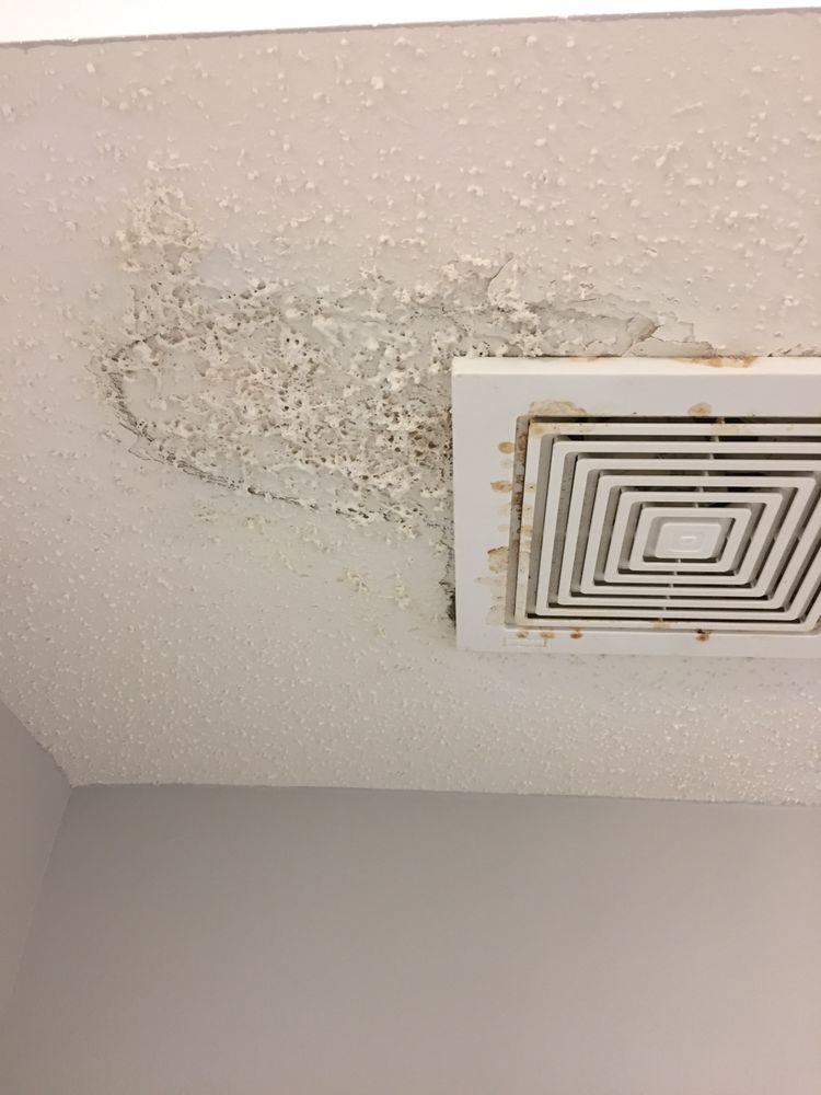 Slide of Taskman Home Services