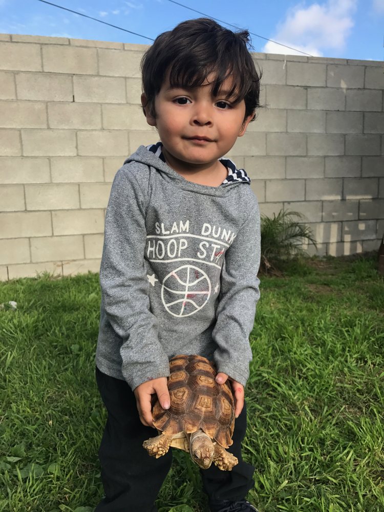 M & M Family Care - childcare center in Hawthorne, CA