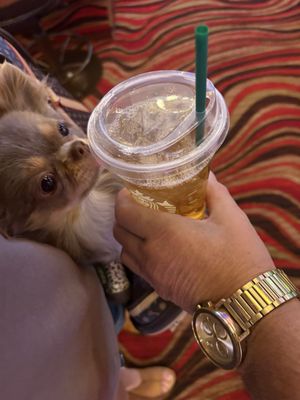 Starbucks by null