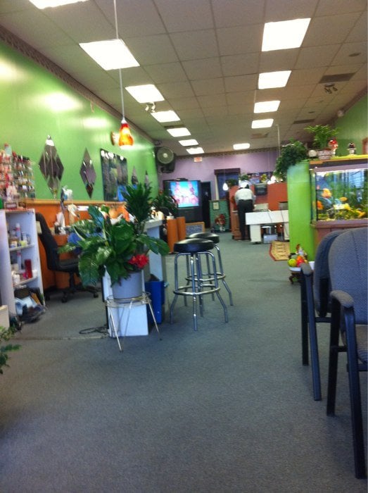 TROY NAILS AND TAN Updated August 2024 120 Hoosick St, Troy, New