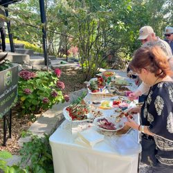 Tami Pounds - Guests enjoy filling their plates with the beautiful and delicious food