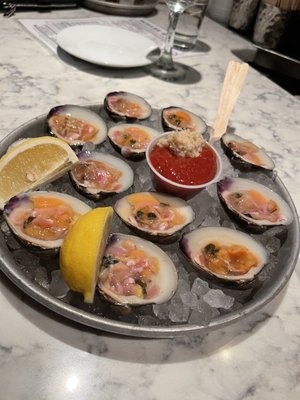 Scales & Shells by null