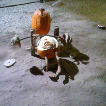Enchanted Pumpkin Garden - Pumpkin Patches Near Me - Carefree, Arizona Enchanted Pumpkin Garden - Pumpkin Patches Near Me - Carefree, Arizona