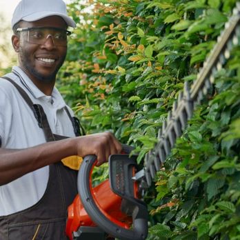 Tate's Tree Service - Tree Services Near Me Tate's Tree Service - Tree Services Near Me