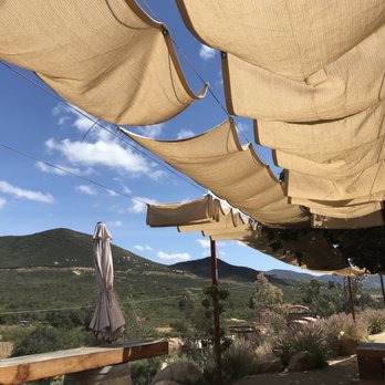 MS Tours - Winery recommendation - Wine Tours Near Me - Rosarito, BCN