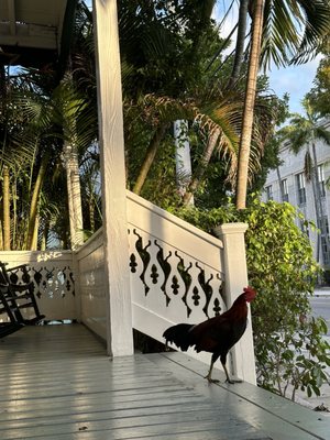 Simonton Court Hotel Key West by null