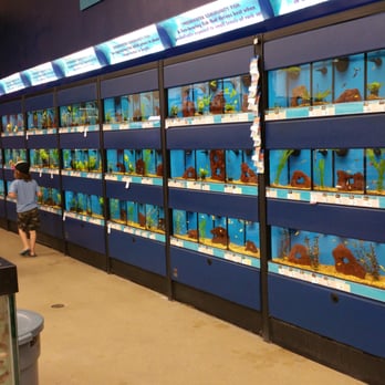 Petco - Pet Stores Near Me - Port Hueneme, California Petco - Pet Stores Near Me - Port Hueneme, California